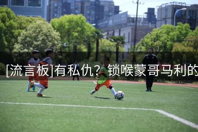 [流言板]有私仇？锁喉蒙哥马利的是英博澳籍助教马克-鲁丹